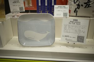 柏　クジラ　231105 (1 - 1)